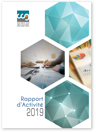 rapport 2019