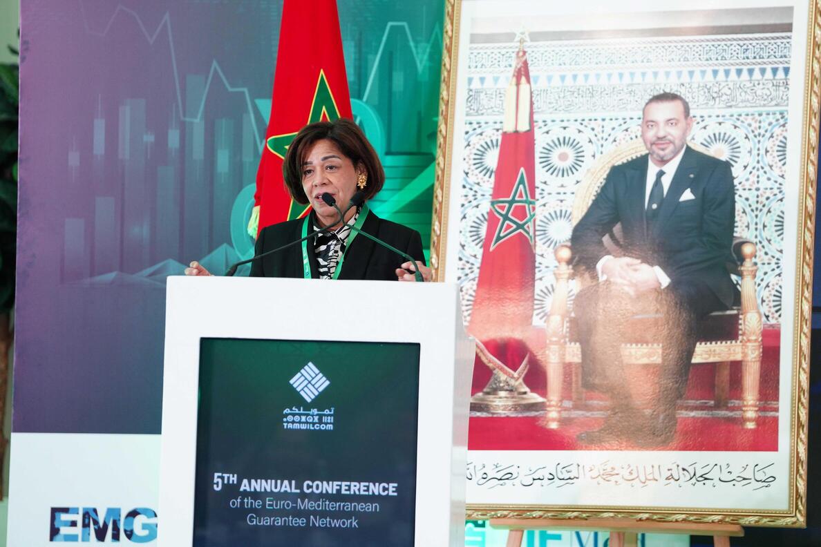 5th annual conference of the euromediterranean 