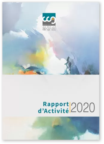 rapport 2020