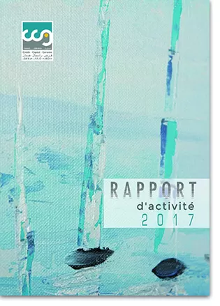 rapport 2017